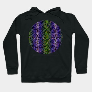 Colourful gradient unique flowers leopard stripes abstract modern 257 Pattern Hoodie